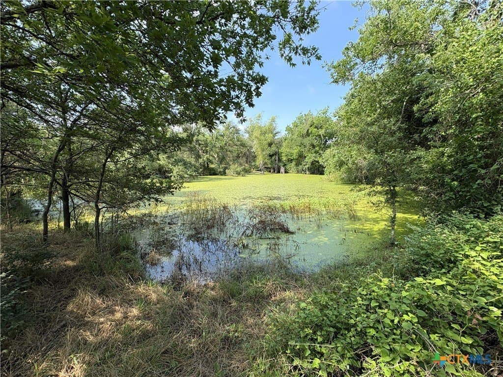 103 acres in Limestone County - photo 17