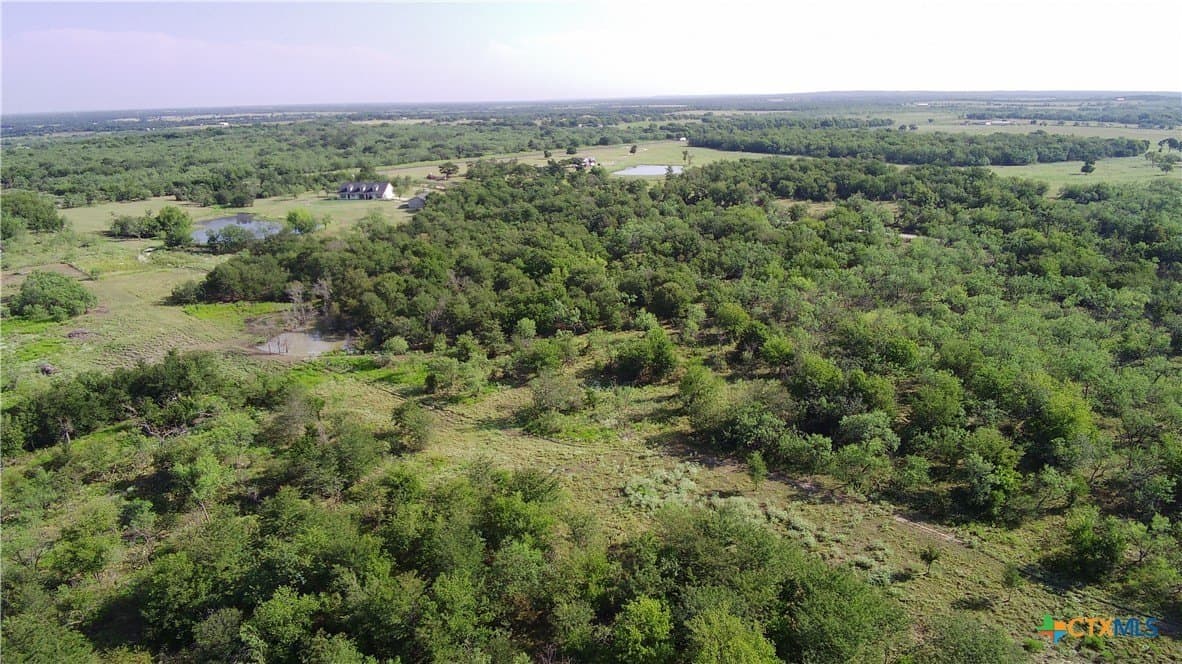 103 acres in Limestone County - photo 7