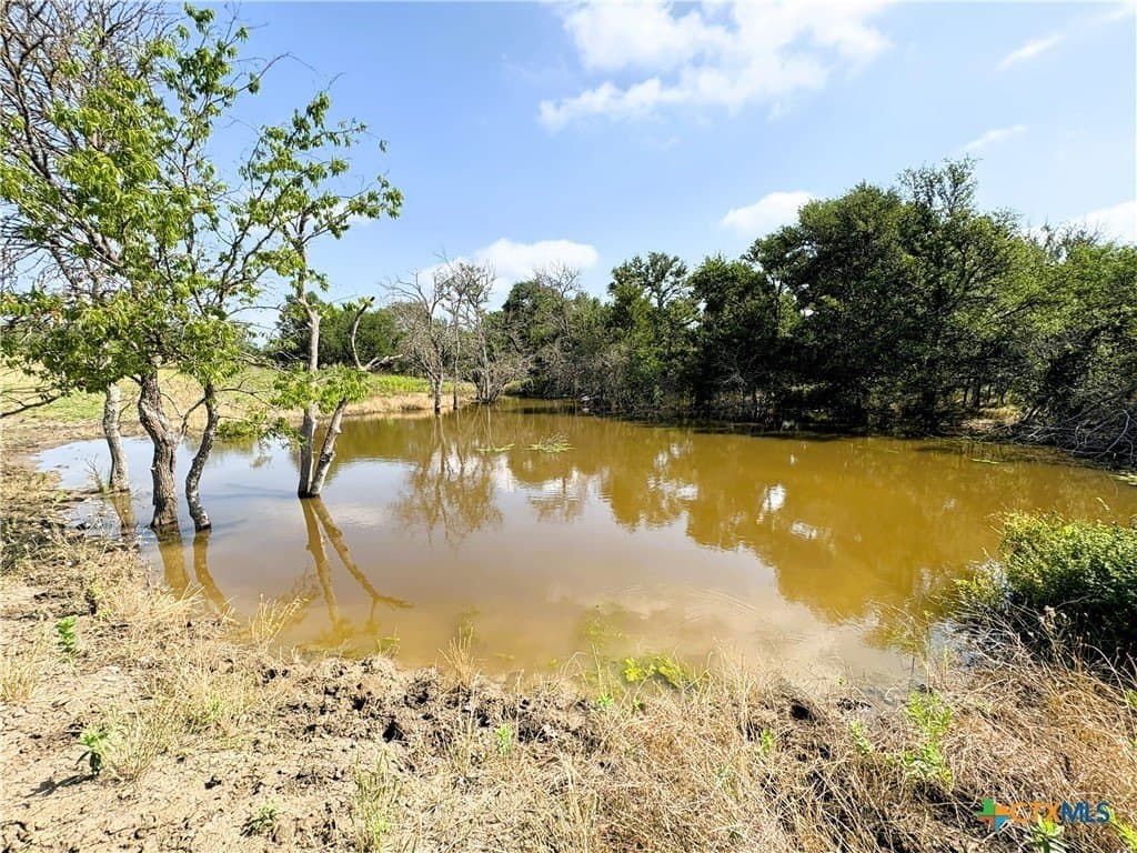 103 acres in Limestone County - photo 15
