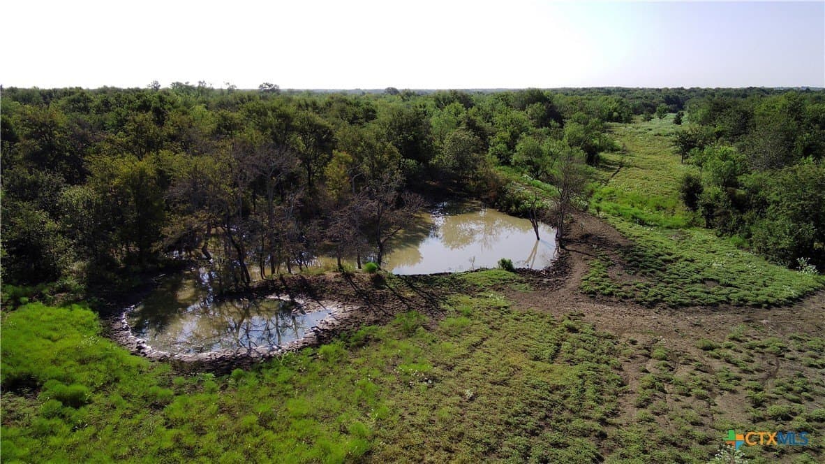 103 acres in Limestone County - photo 8