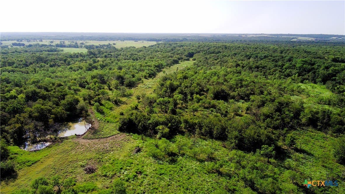 103 acres in Limestone County - photo 3