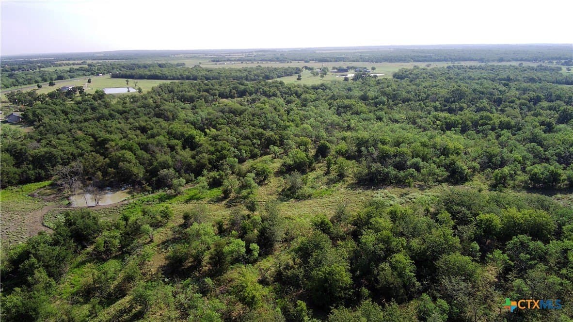 103 acres in Limestone County - photo 6
