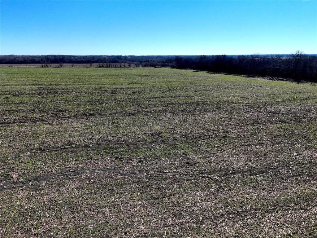 15 acres in Delta County - photo 5