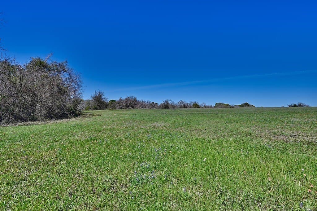 27.8 acres in Grimes County - photo 7