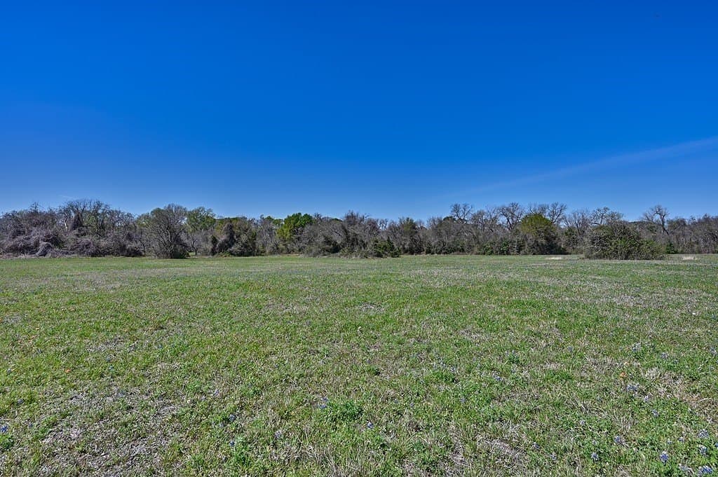 27.8 acres in Grimes County - photo 8