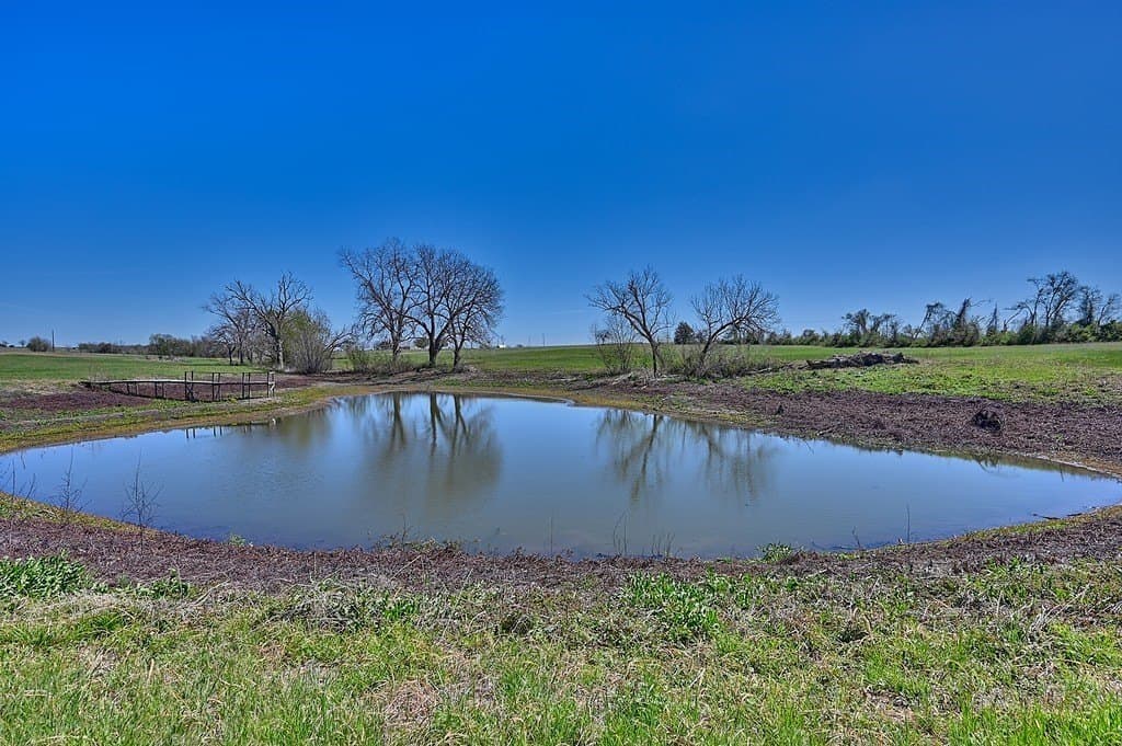 27.8 acres in Grimes County - photo 6