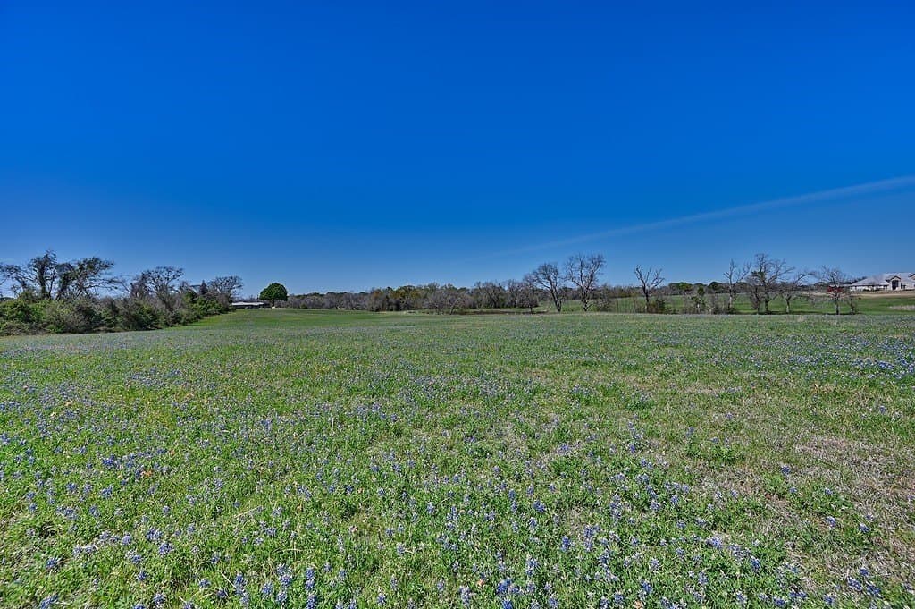27.8 acres in Grimes County - photo 5