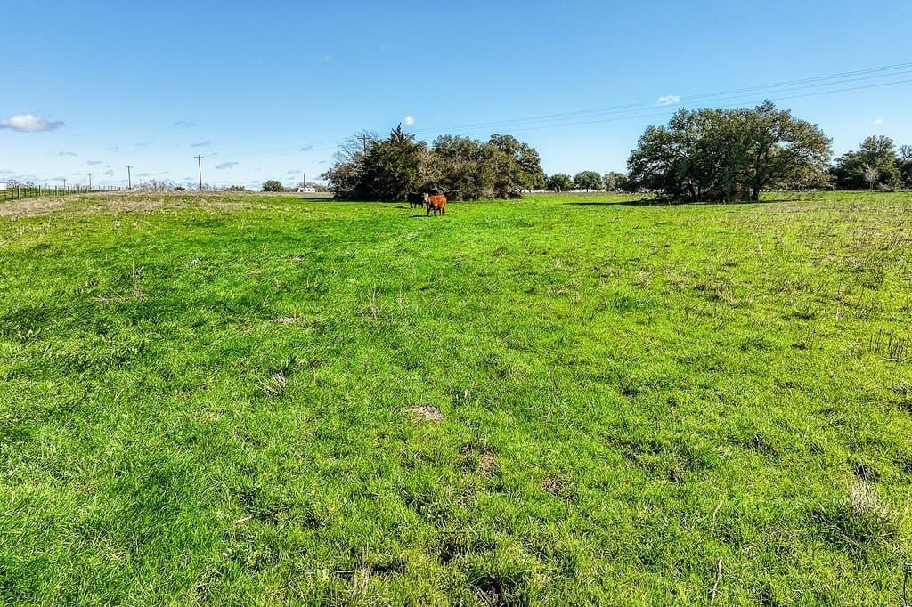 10.1 acres in Fayette County - photo 7