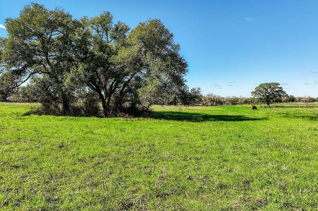 10.1 acres in Fayette County - photo 2