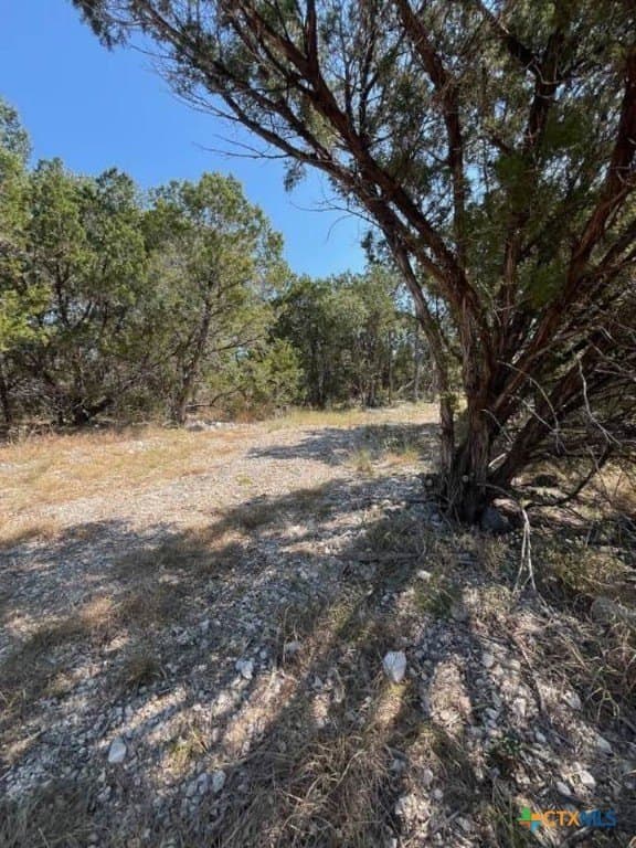 2.18 acres in Comal County - photo 7