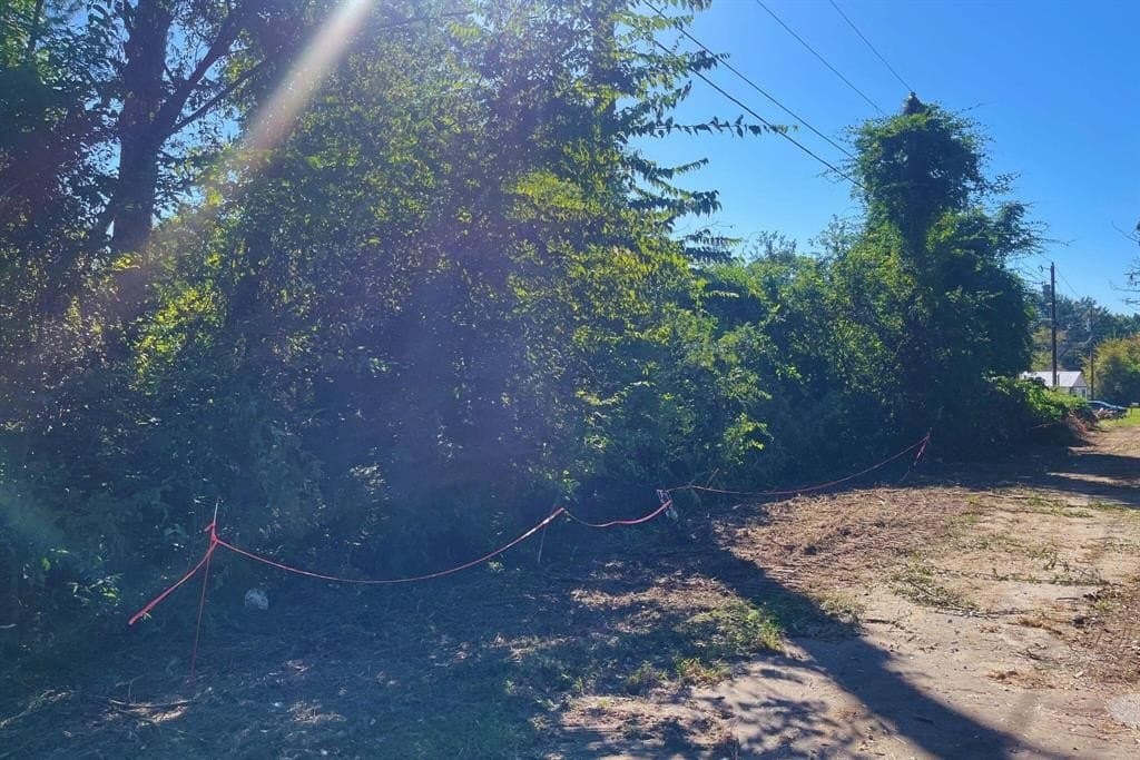 0.14 acres in Henderson County - photo 3
