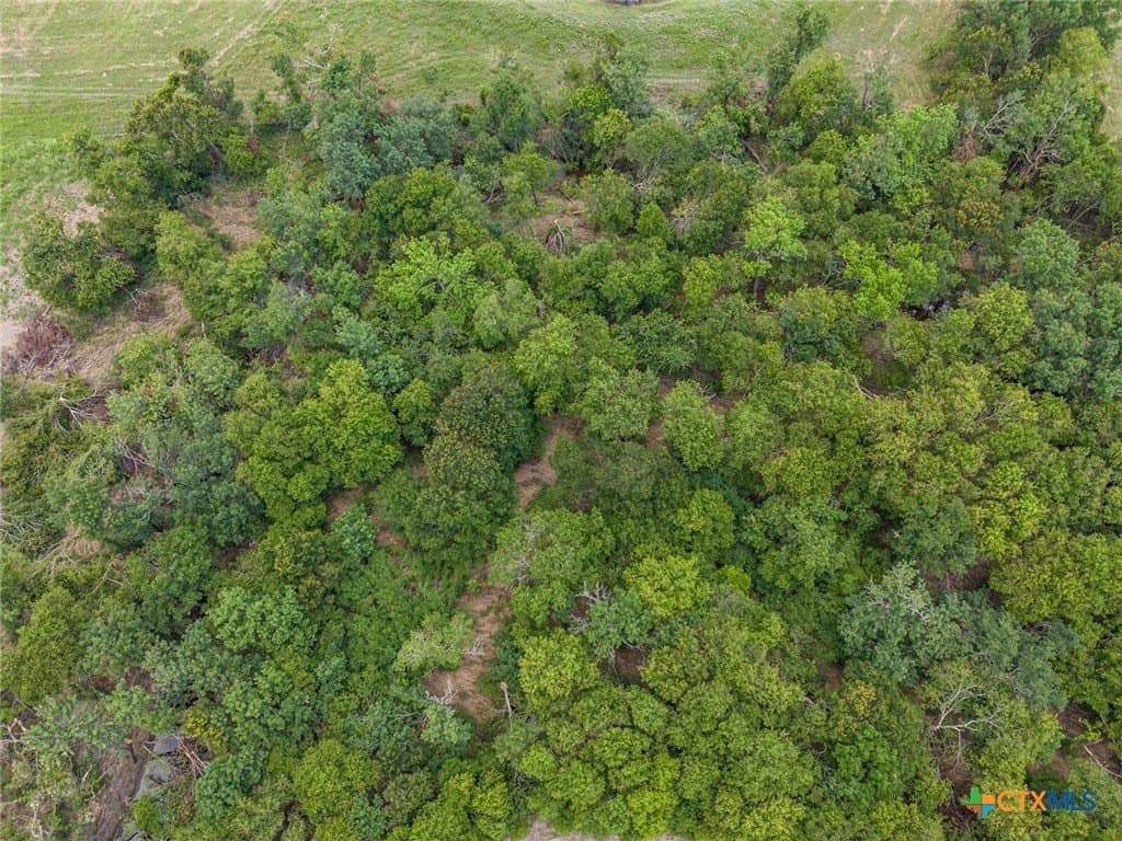 61.7 acres in Milam County - photo 37