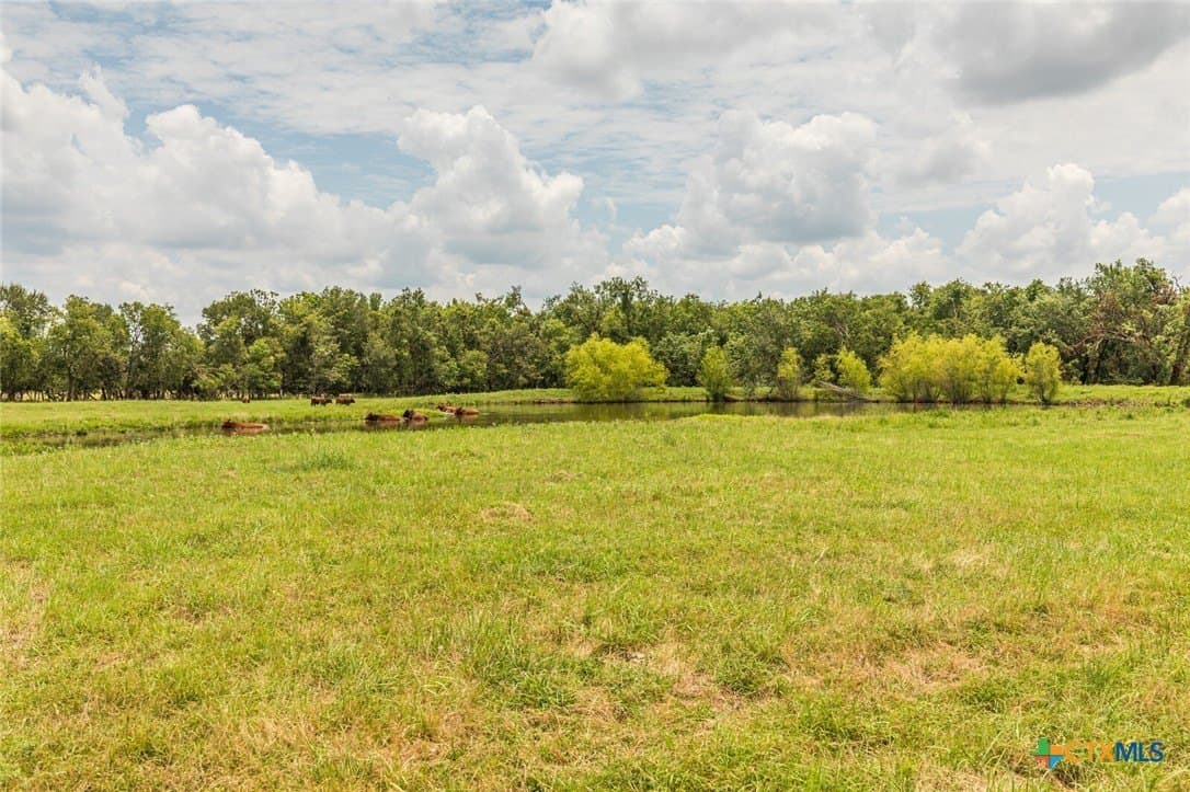 61.7 acres in Milam County - photo 34
