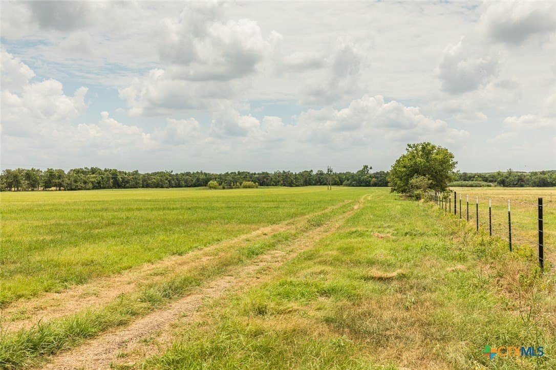 61.7 acres in Milam County - photo 33