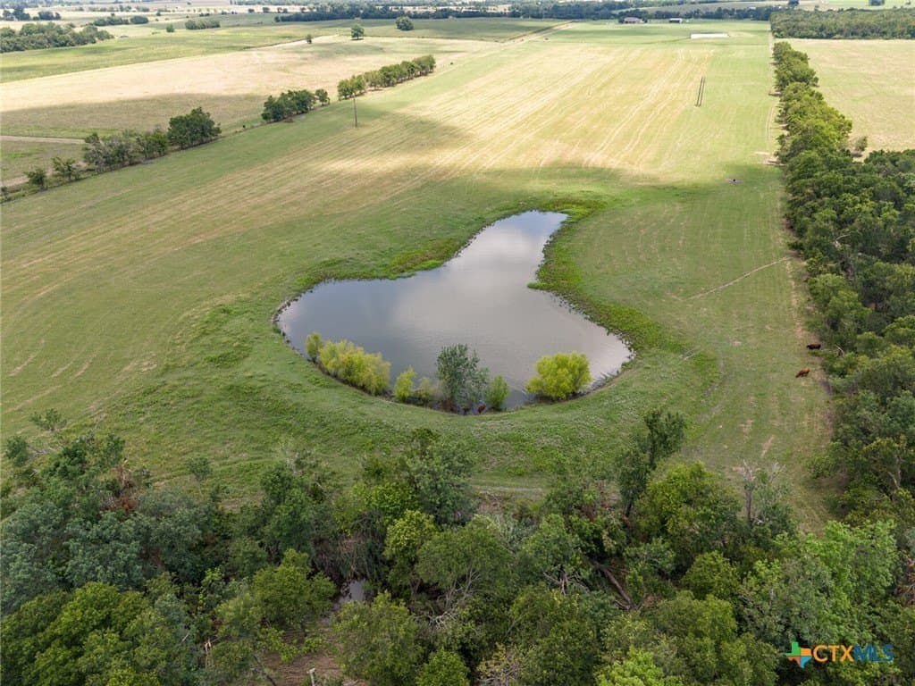 61.7 acres in Milam County - photo 38