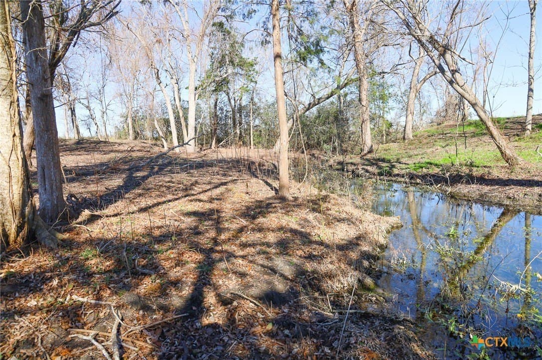 2.41 acres in Lavaca County - photo 2