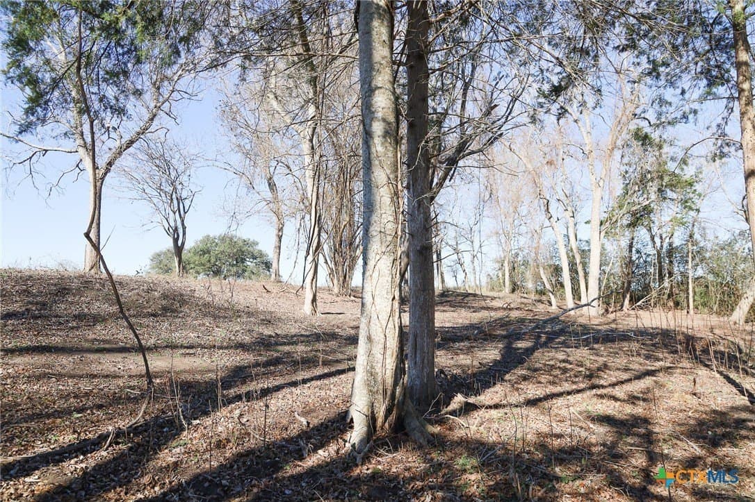2.41 acres in Lavaca County - photo 4