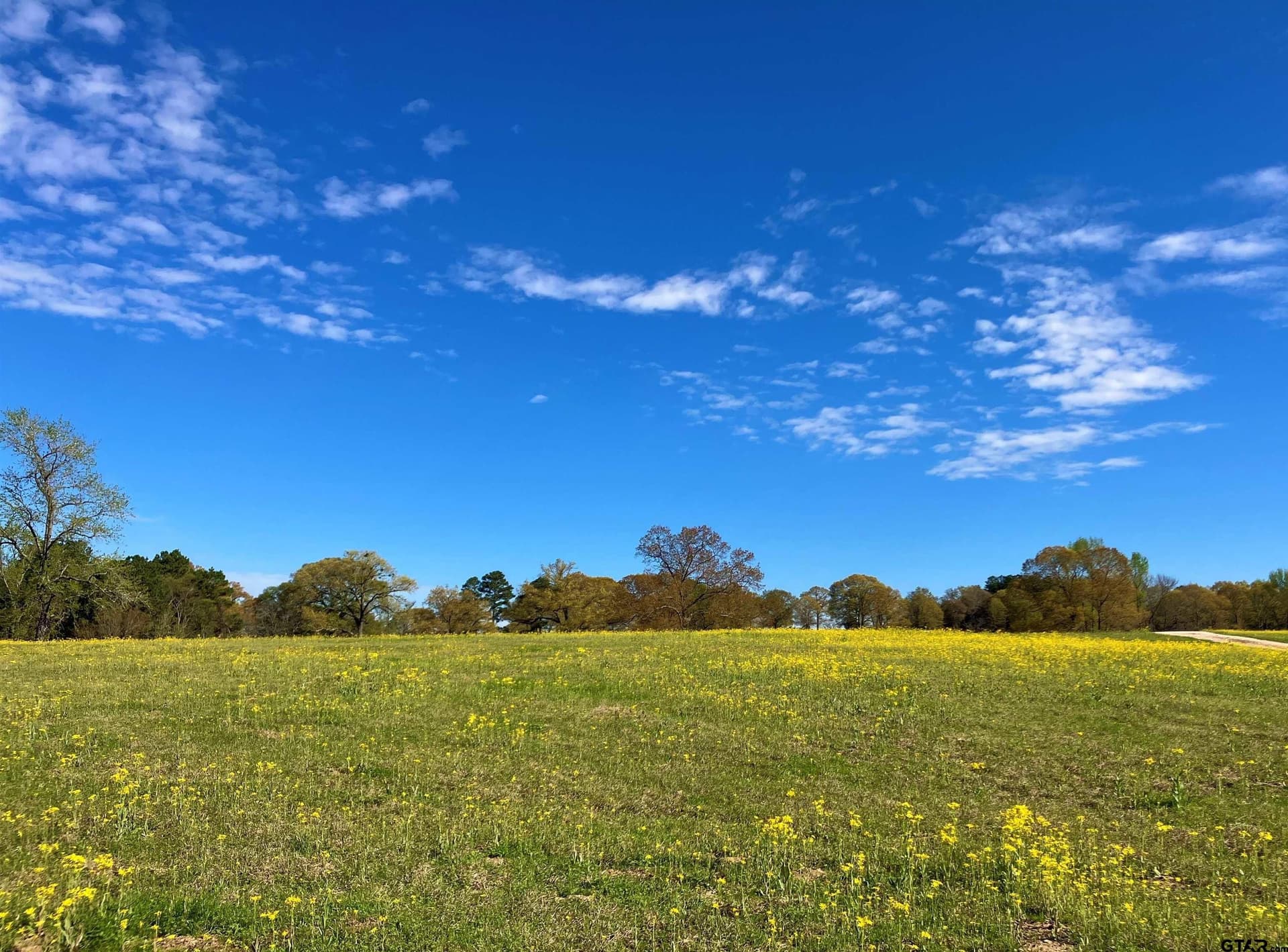 2.01 acres in Upshur County - photo 3