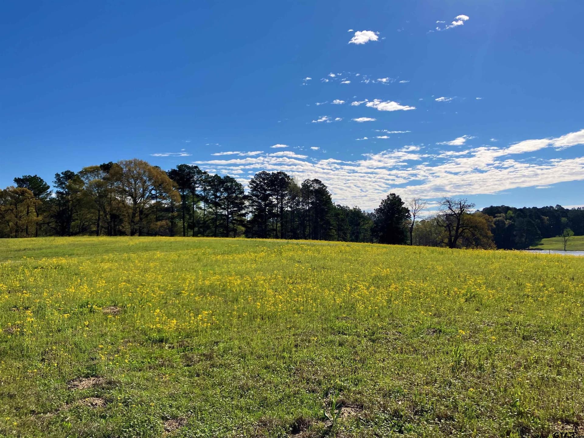 2.01 acres in Upshur County - photo 4