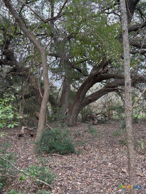 39.72 acres in Lavaca County - photo 5
