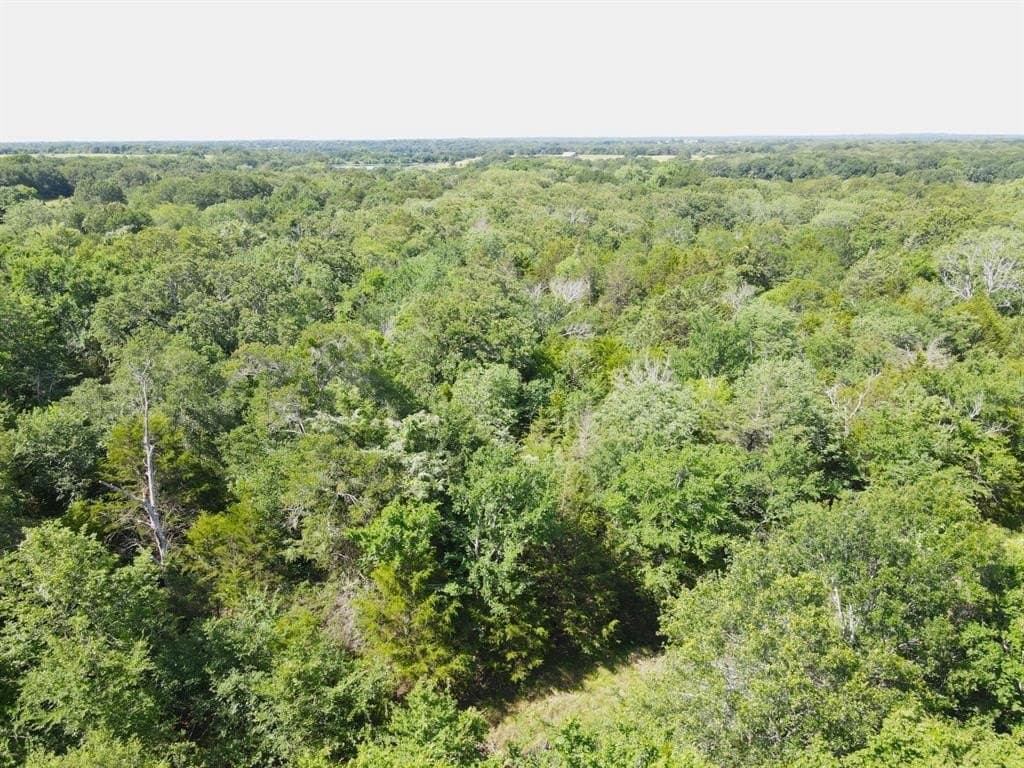 29 acres in Kaufman County - photo 9