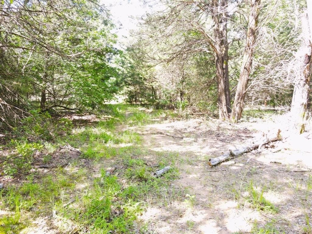 29 acres in Kaufman County - photo 2