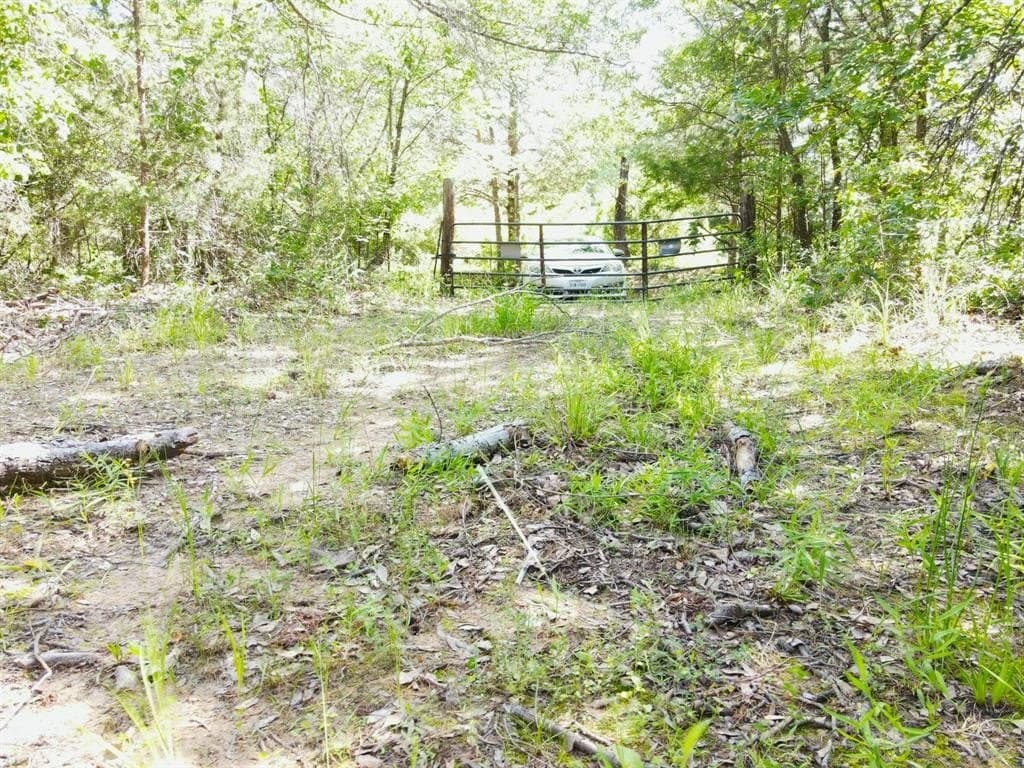 29 acres in Kaufman County - photo 4