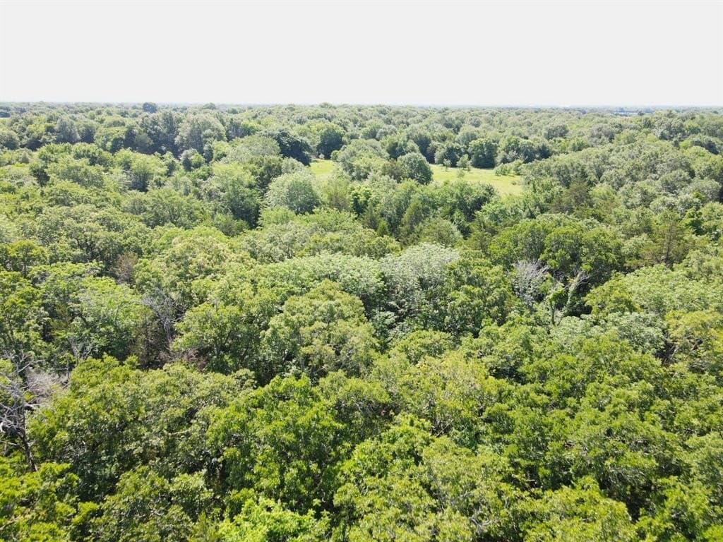 29 acres in Kaufman County - photo 7