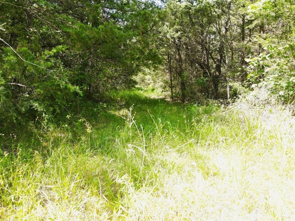 29 acres in Kaufman County - photo 5