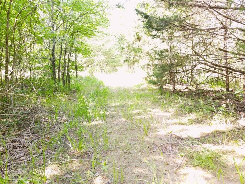 29 acres in Kaufman County - photo 3