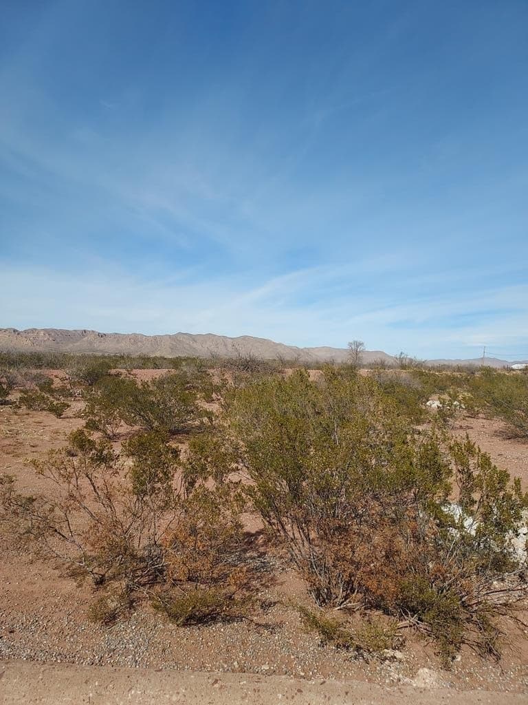 35.48 acres in Culberson County - photo 3