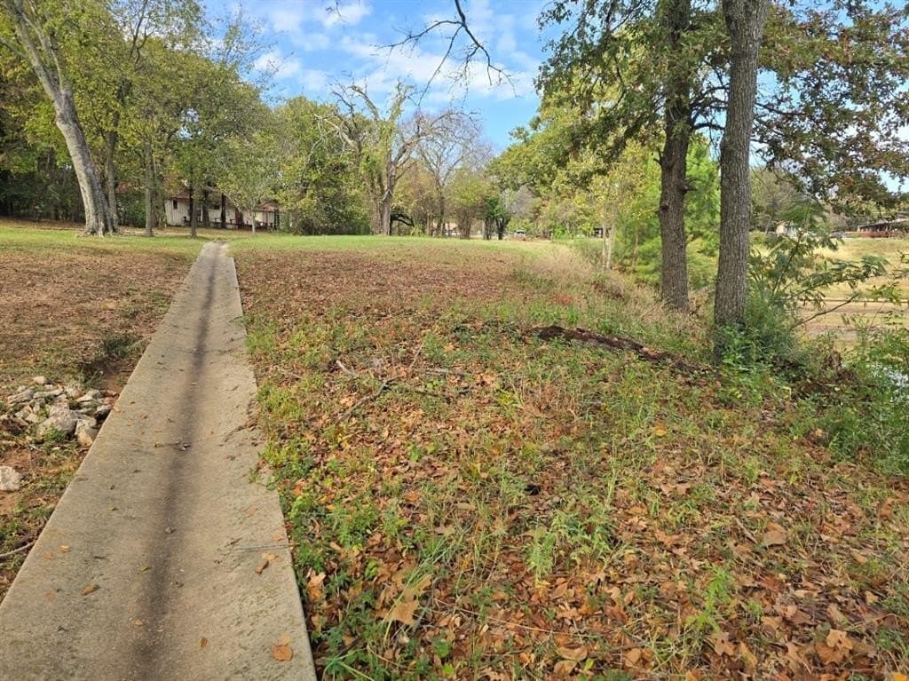 0.44 acres in Henderson County - photo 16