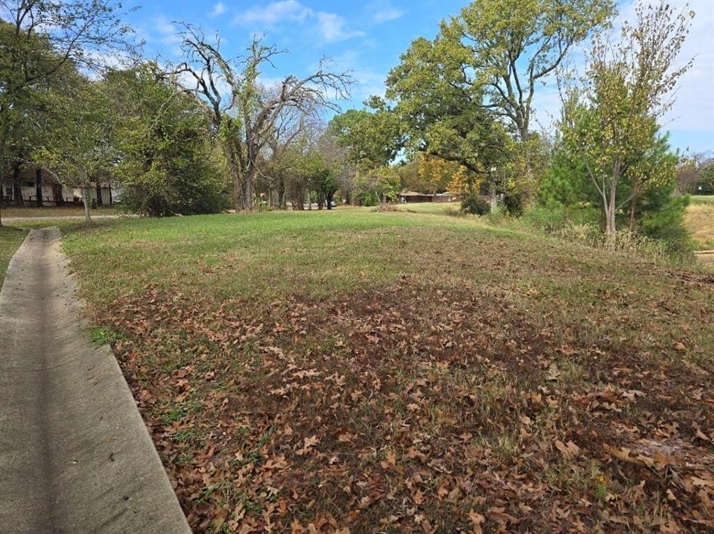 0.44 acres in Henderson County - photo 13