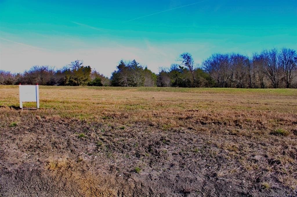 1.01 acres in Navarro County - photo 3