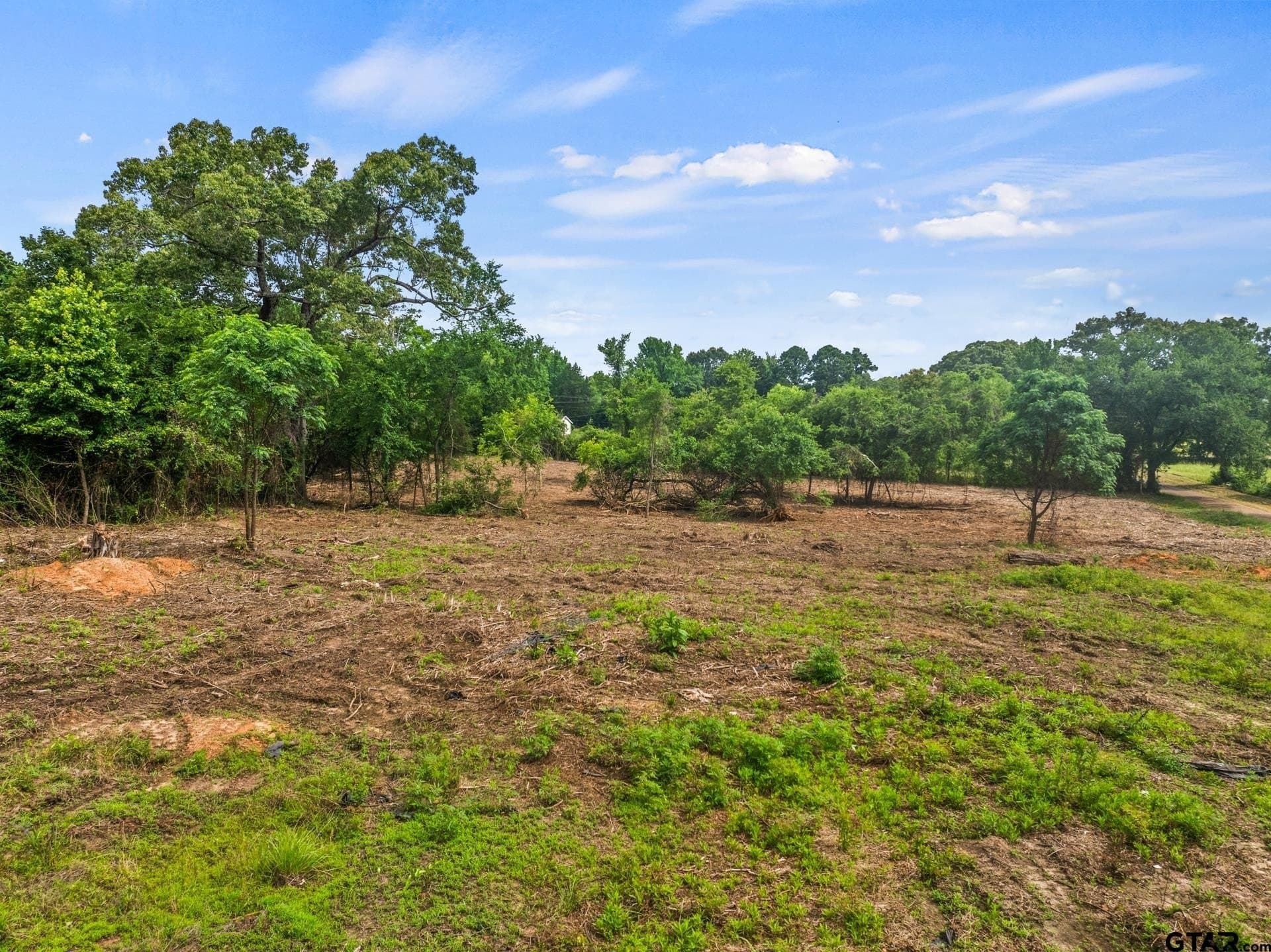 5 acres in Morris County - photo 6