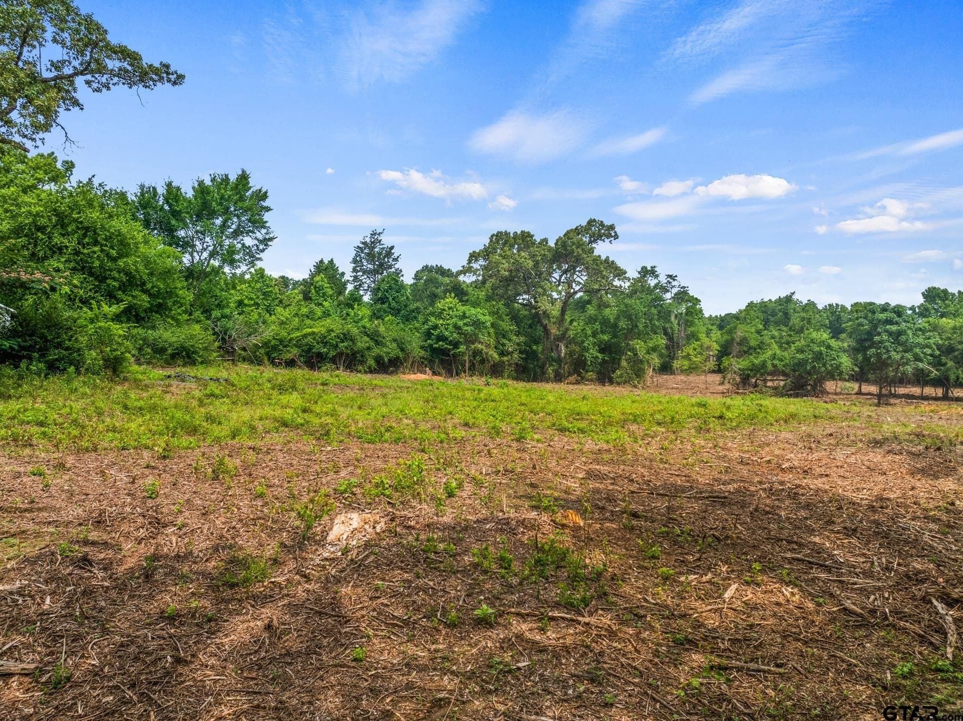 5 acres in Morris County - photo 9