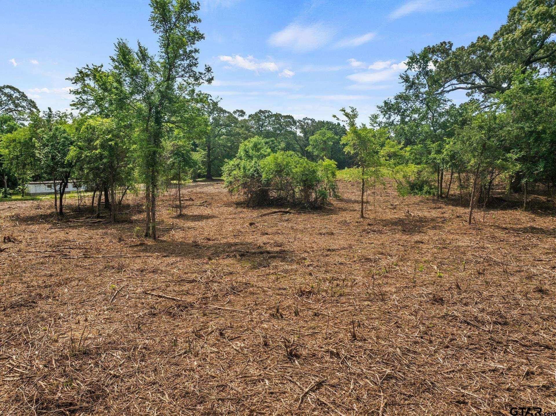 5 acres in Morris County - photo 8