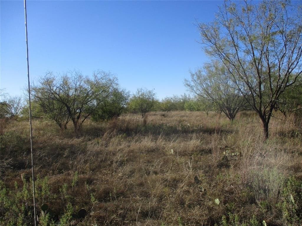 80 acres in Eastland County - photo 5