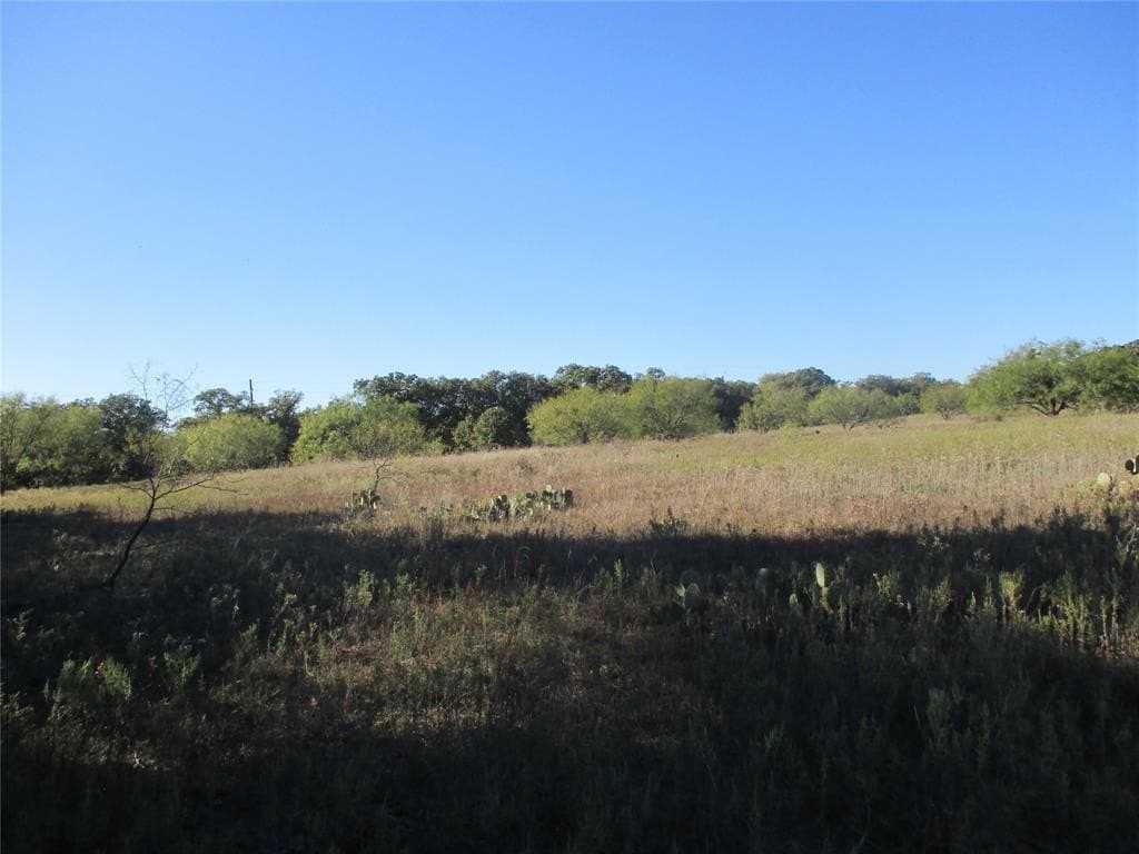 80 acres in Eastland County - photo 4