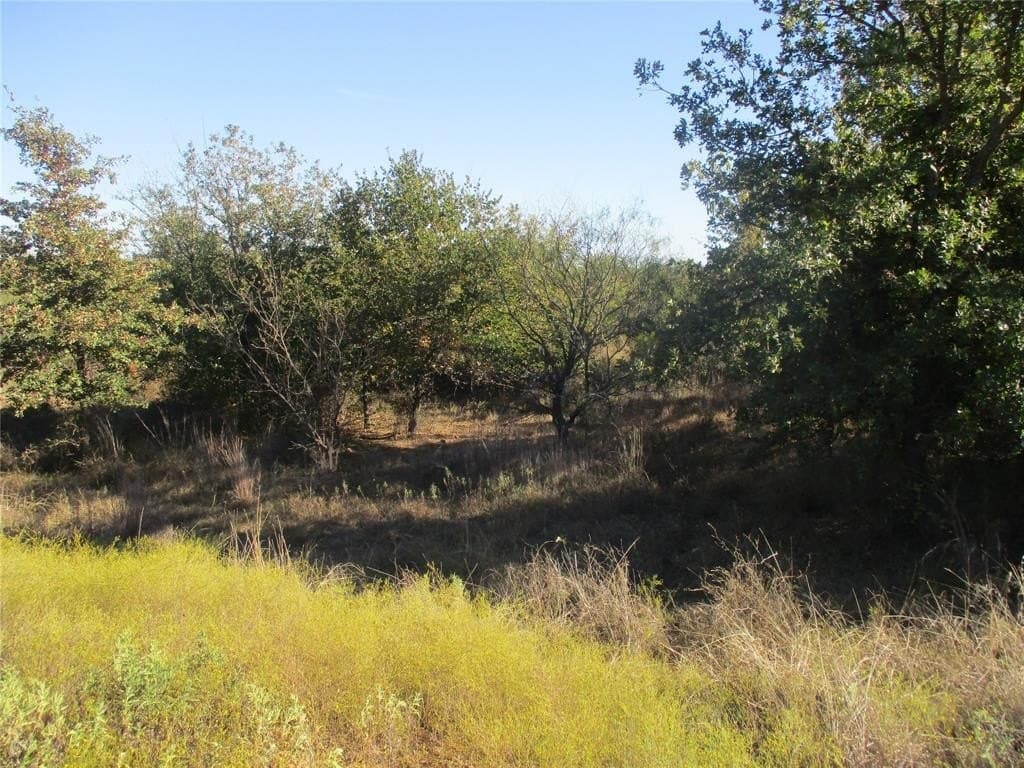 80 acres in Eastland County - photo 7