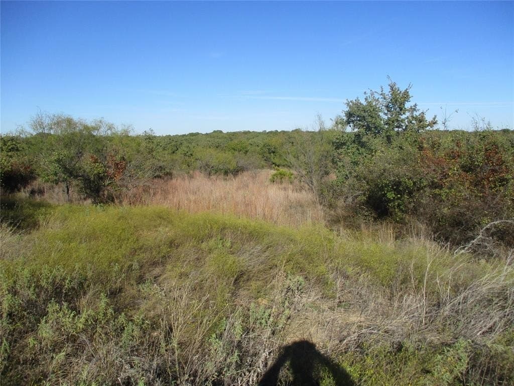 80 acres in Eastland County - photo 6