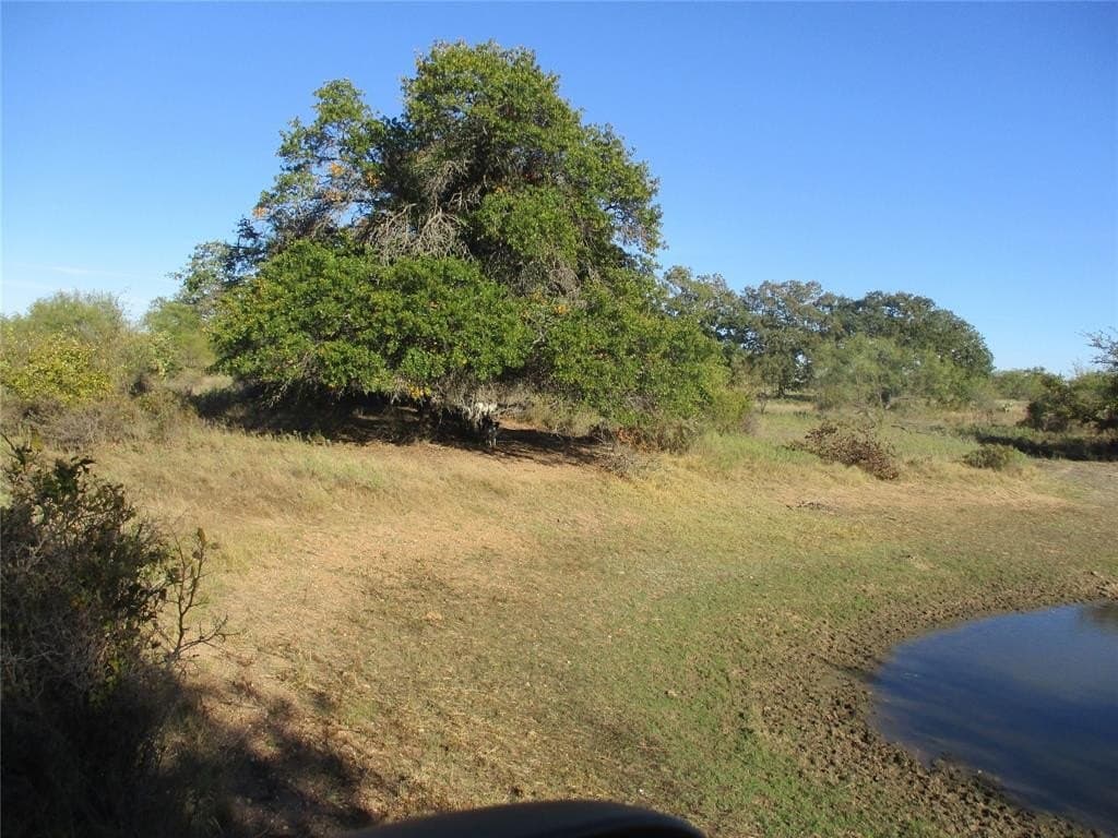 80 acres in Eastland County - photo 3