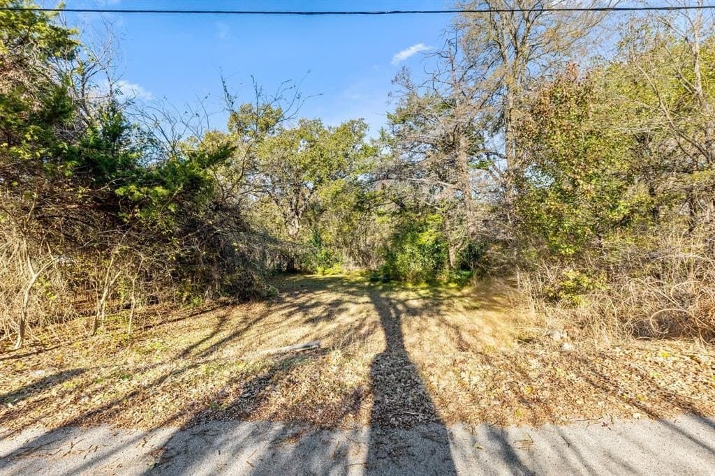 0.12 acres in Dallas County - photo 7