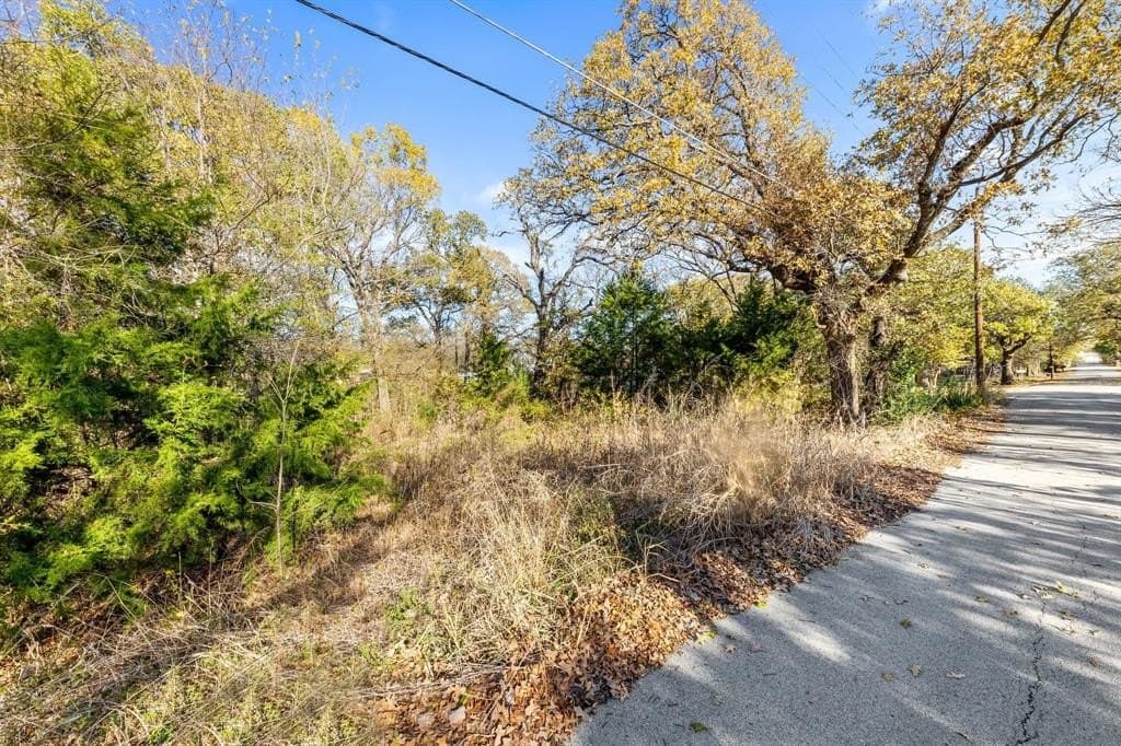 0.12 acres in Dallas County - photo 5