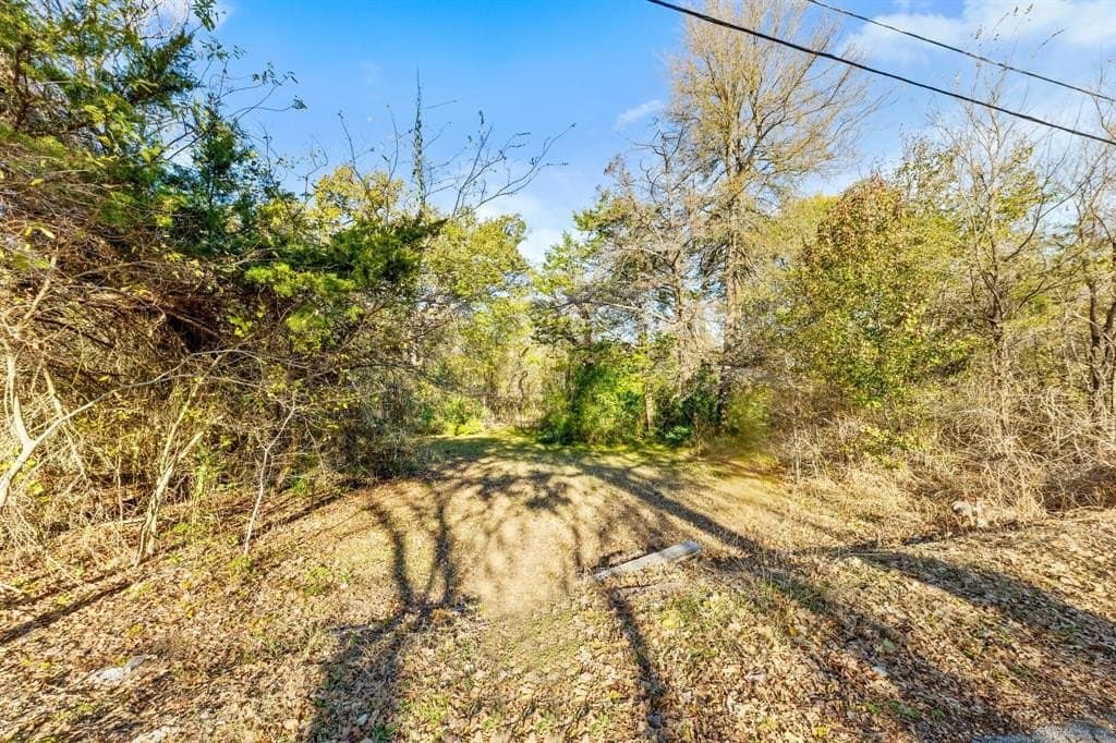 0.12 acres in Dallas County - photo 8