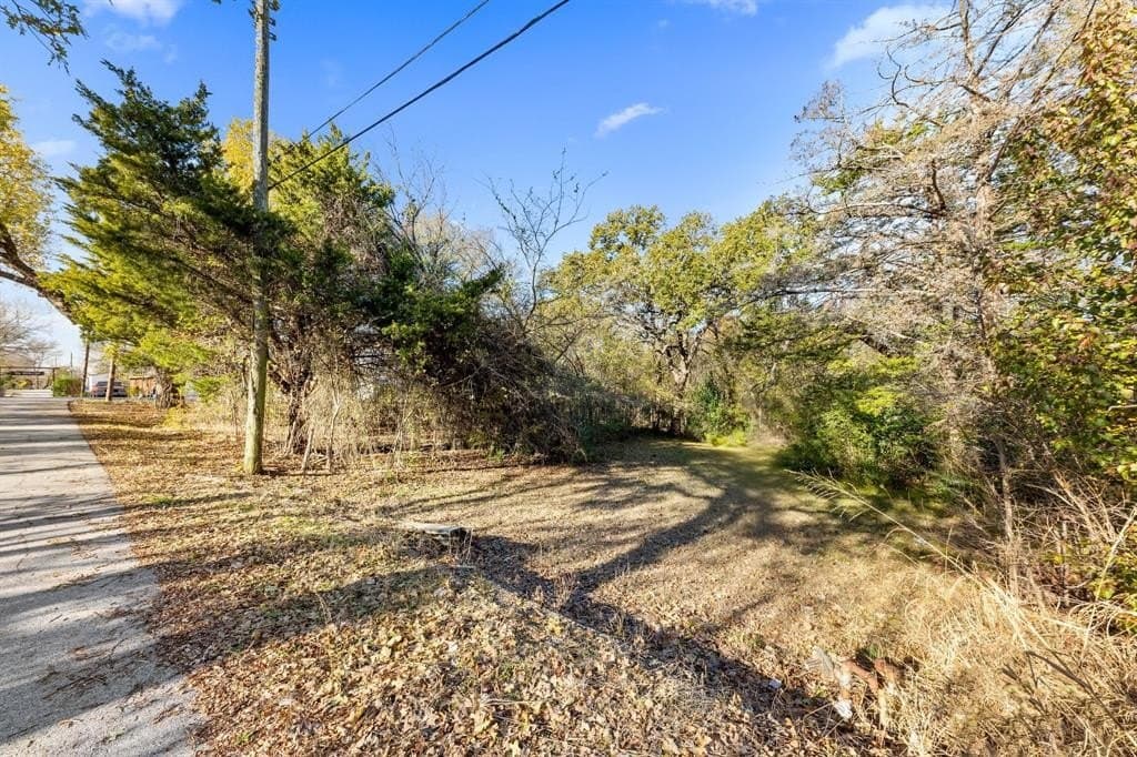 0.12 acres in Dallas County - photo 6