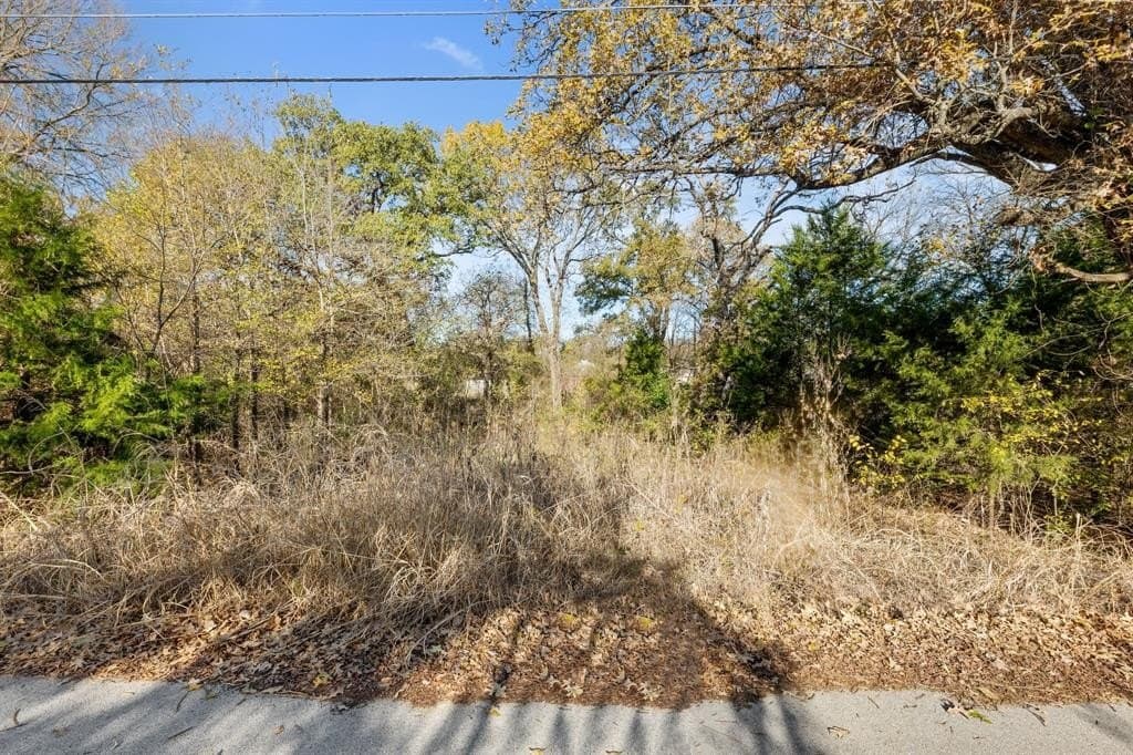 0.12 acres in Dallas County - photo 4