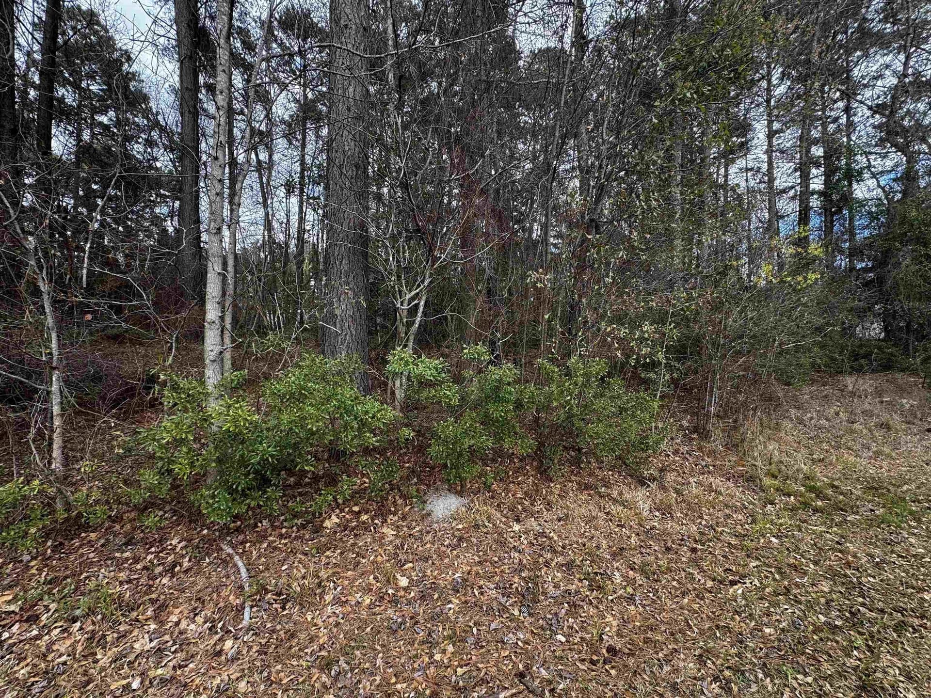 0.18 acres in Harrison County - photo 2