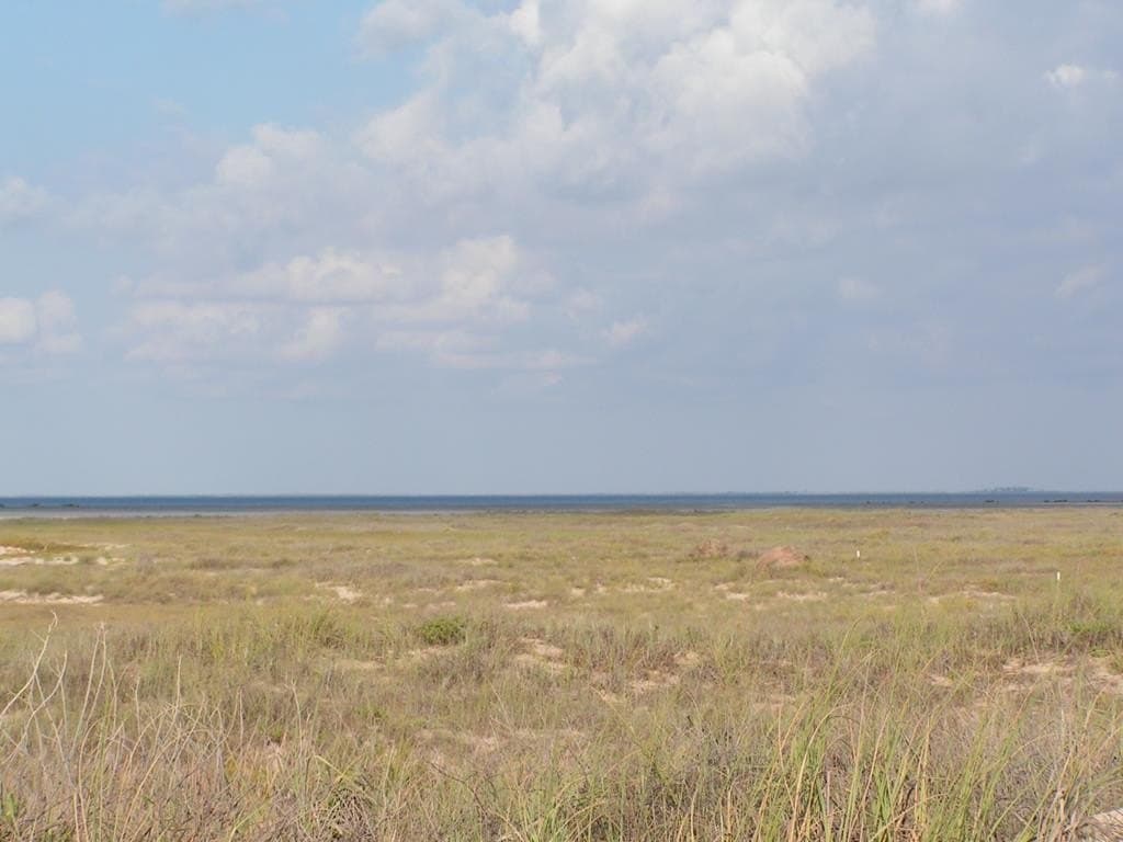 0 acres in Cameron County - photo 2