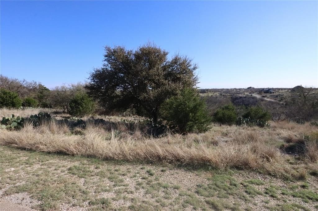 0.1 acres in Palo Pinto County - photo 6
